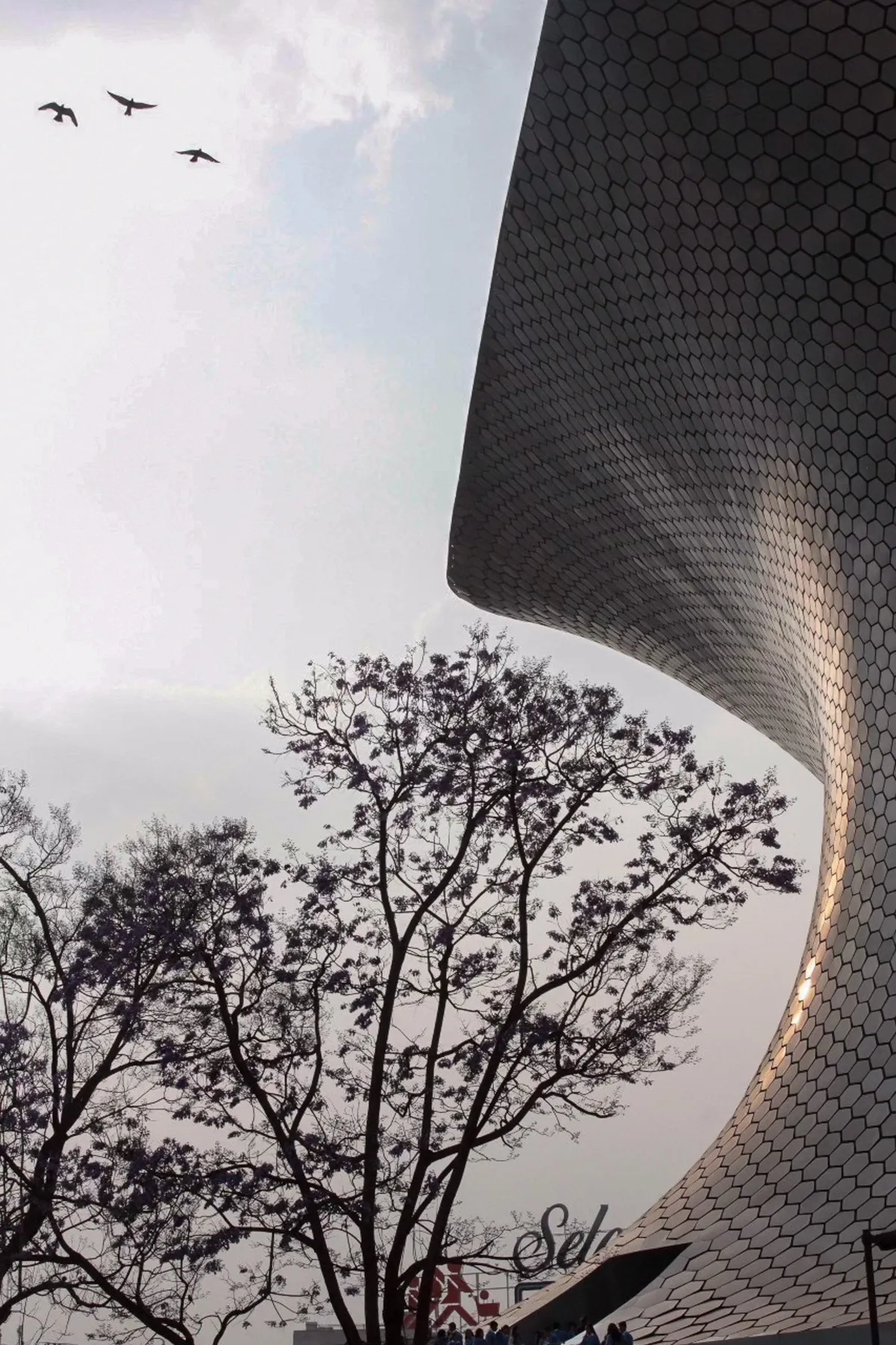 Museo Soumaya y Jacarandas — Ciudad de México, México