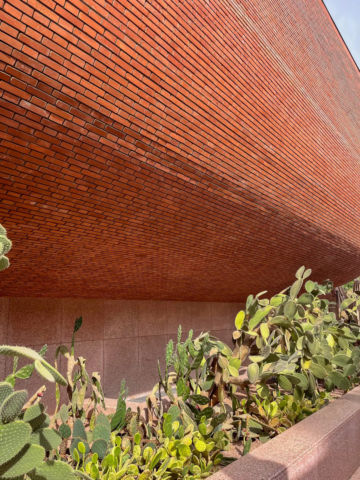Museo Yves Saint Laurent y Cactus — Marrakech, Marruecos