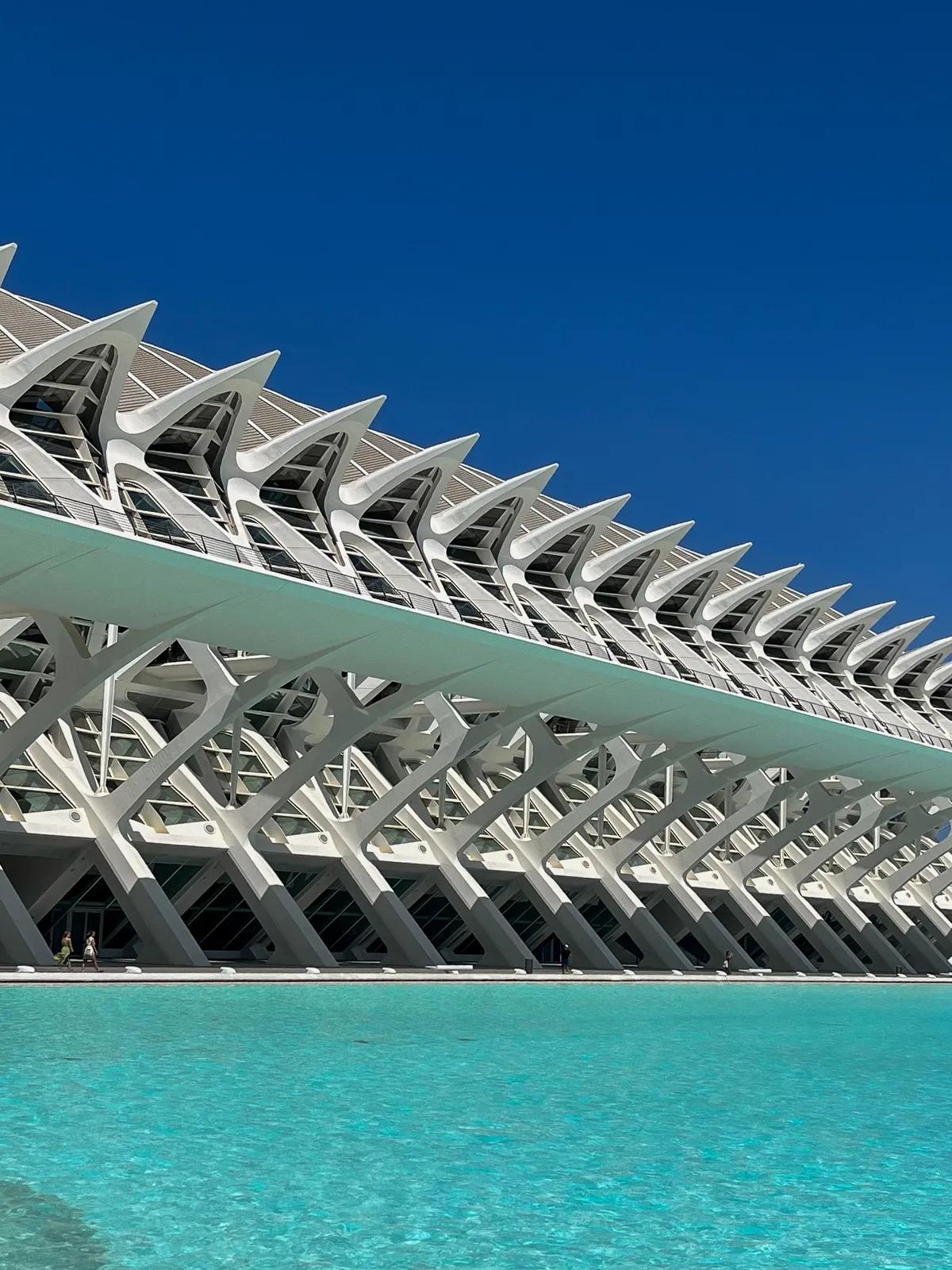 Museo de las Ciencias Príncipe Felipe — Valencia, España