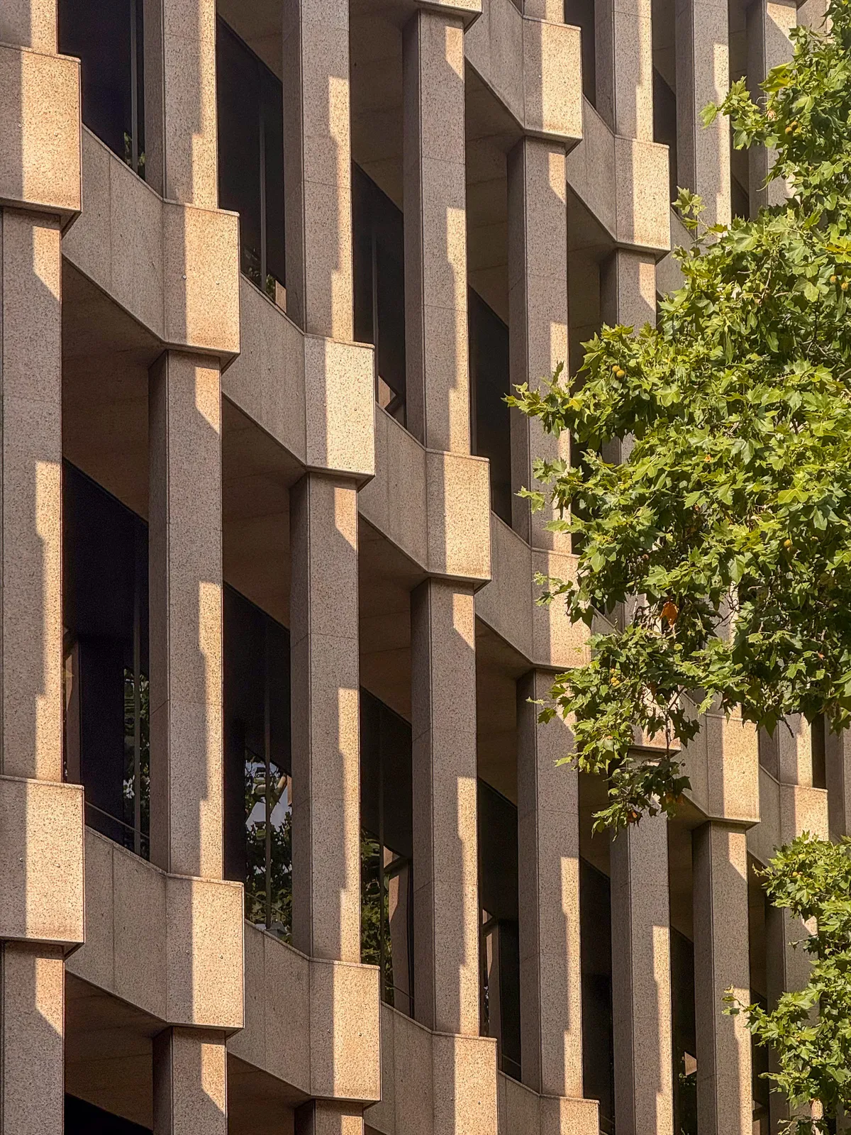 Edificio de Dirección General de Patrimonio Cultural y Bellas Artes — Madrid, España